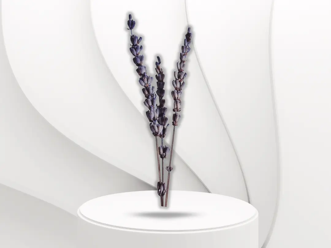 Dried lavender